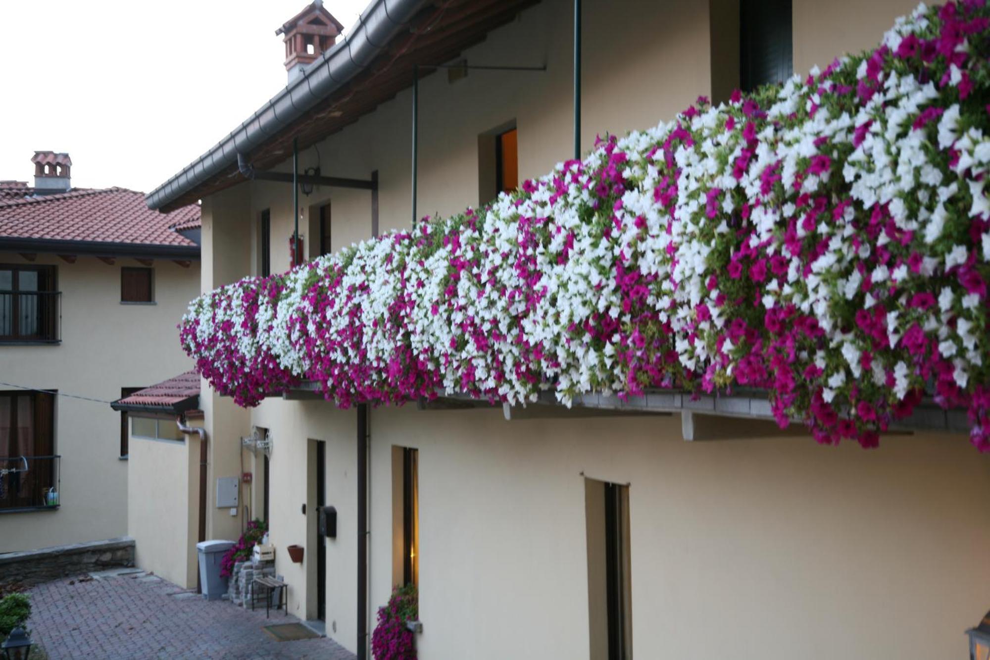 Locanda Dell'Oca Bianca Όπως Εξωτερικό φωτογραφία